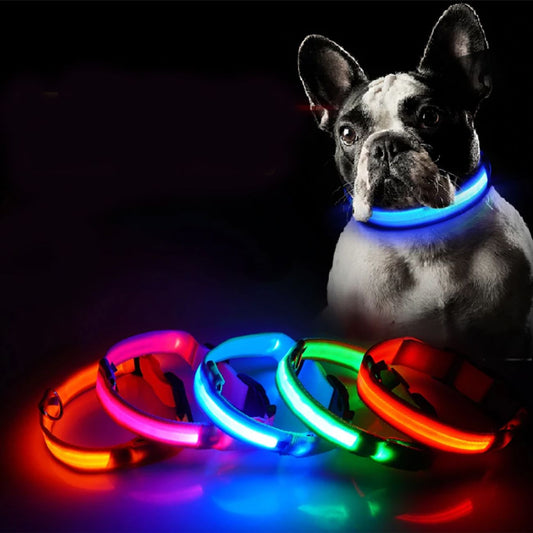 LED Hundhalsband